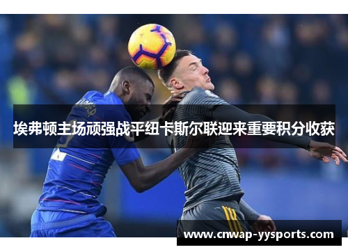 埃弗顿主场顽强战平纽卡斯尔联迎来重要积分收获