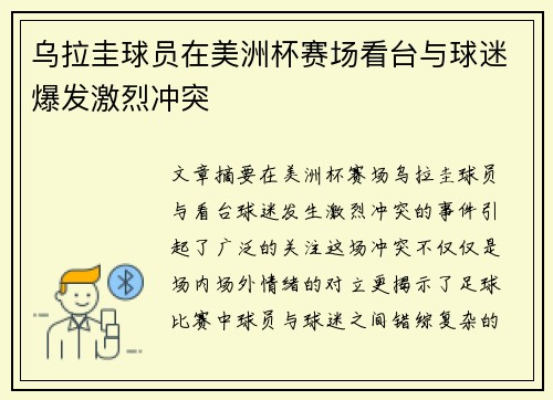 乌拉圭球员在美洲杯赛场看台与球迷爆发激烈冲突